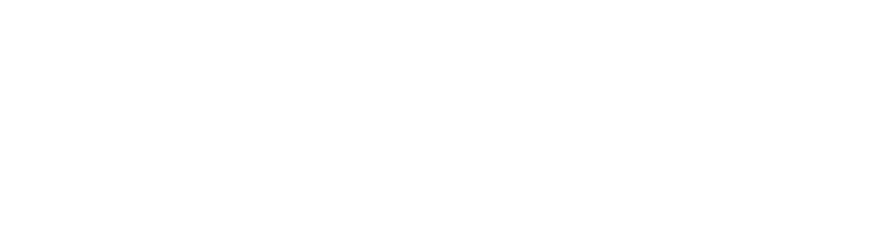 ACTION International Services